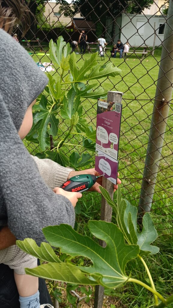 Widmung anbringen Strebersdorf Obstoase